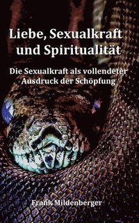 bokomslag Liebe, Sexualkraft und Spiritualitt