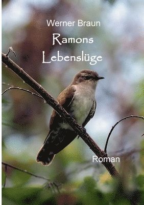 Ramons Lebenslüge