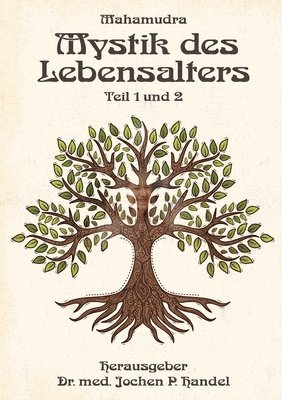 Mahamudra Hauke Messerschmidt - Mystik des Lebensalters, Häftad