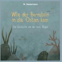 bokomslag Wie der Bernstein in die Ostsee kam