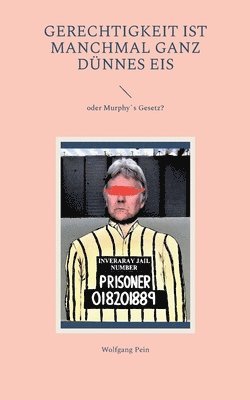 Wolfgang Pein - Gerechtigkeit ist manchmal ganz dünnes Eis, Häftad