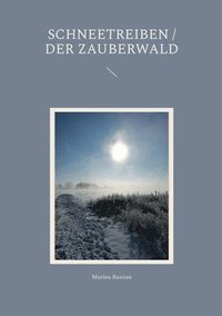 bokomslag Schneetreiben / Der Zauberwald