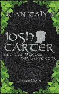 bokomslag Josh Carter und der Meister des Labyrinths