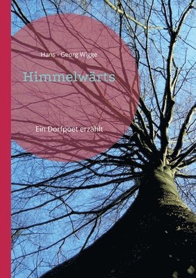 bokomslag Himmelwrts