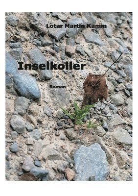 bokomslag Inselkoller