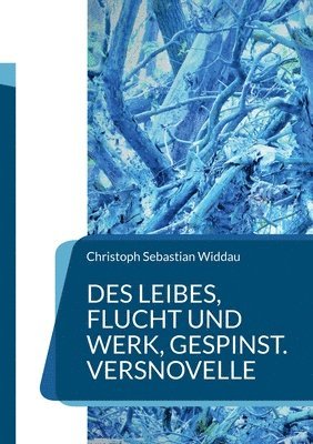 Christoph Sebastian Widdau - Des Leibes, Flucht und Werk, Gespinst, Häftad