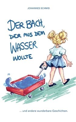 bokomslag Der Bach, der aus dem Wasser wollte: ...und andere wunderbare Geschichten