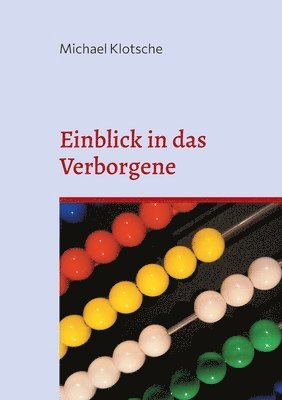 bokomslag Einblick in das Verborgene