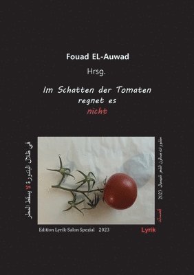 Fouad El-Auwad, Fouad EL-Auwad - Im Schatten der Tomaten regnet es nicht, Häftad