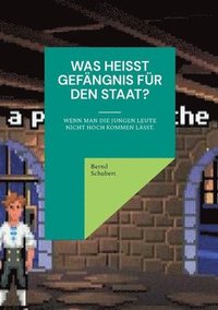 bokomslag Was heißt Gefängnis für den Staat?