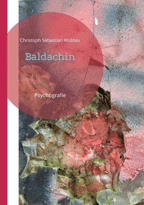Christoph Sebastian Widdau - Baldachin: Psychografie, Häftad