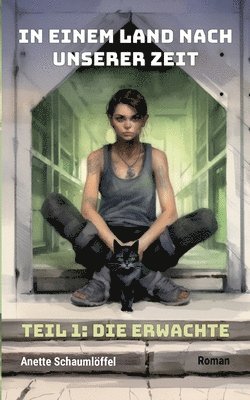 Anette Schaumlöffel - In einem Land nach unserer Zeit, Häftad