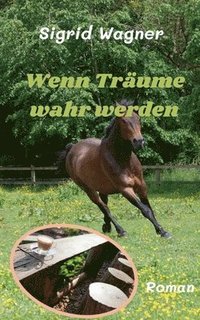 bokomslag Wenn Träume wahr werden: Charly 2 - und leise erzählt der Wind