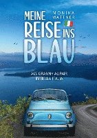 bokomslag Meine Reise ins Blau