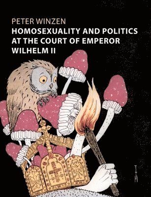 Peter Winzen - Homosexuality and Politics at the Court of Emperor Wilhelm II, Häftad