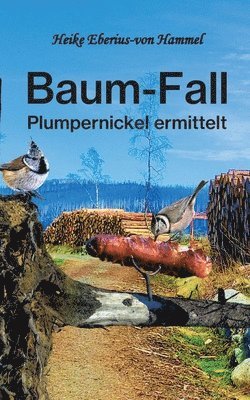 bokomslag Baum-Fall