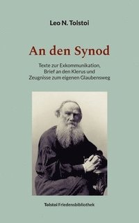 bokomslag An den Synod
