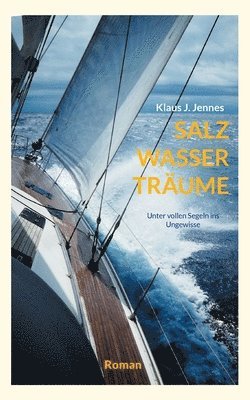 bokomslag Salz Wasser Träume