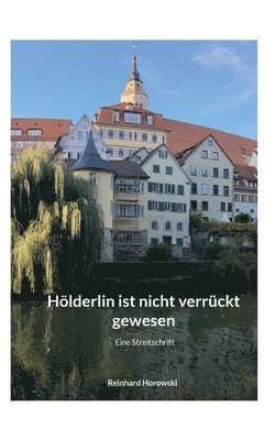 bokomslag Hölderlin ist nicht verrückt gewesen