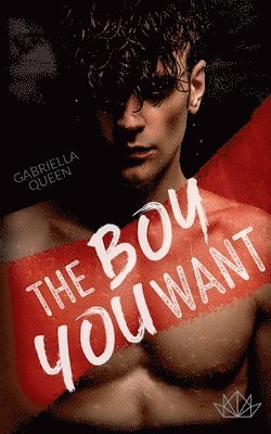 Gabriella Queen - The Boy You Want, Häftad