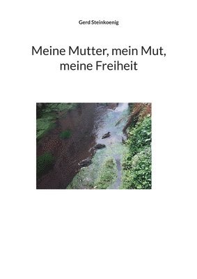 bokomslag Meine Mutter, mein Mut, meine Freiheit