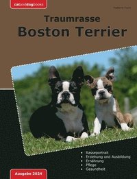 bokomslag Traumrasse Boston Terrier
