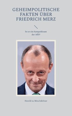 bokomslag Geheimpolitische Fakten ber Friedrich Merz