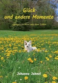 bokomslag Glck und andere Momente