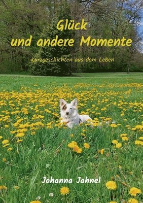bokomslag Glück und andere Momente