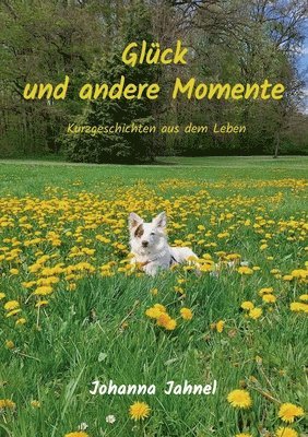 Glck und andere Momente 1