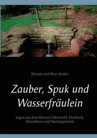 bokomslag Zauber, Spuk und Wasserfrulein