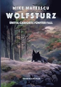 bokomslag Wolfsturz