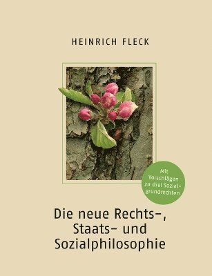 bokomslag Die neue Rechts-, Staats- und Sozialphilosophie mit Vorschlgen zu drei Sozialgrundrechten