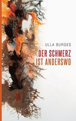 bokomslag Schmerz ist anderswo