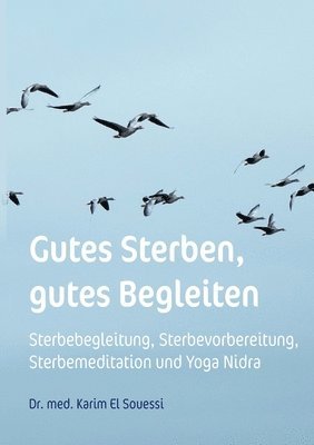 Gutes Sterben, gutes Begleiten