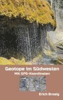 bokomslag Geotope im Südwesten