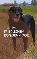 Tod im friedlichen Roggenmoor 1