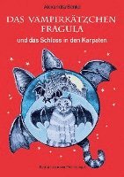 bokomslag Das Vampirkätzchen Fragula - und das Schloss in den Karpaten - Band 2