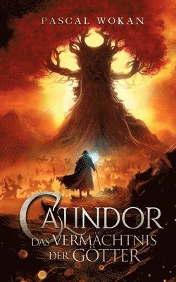 bokomslag Calindor: Das Vermächtnis der Götter