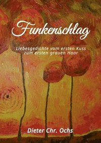 bokomslag Funkenschlag