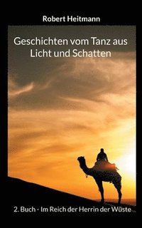 bokomslag Geschichten vom Tanz aus Licht und Schatten