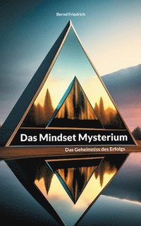 bokomslag Das Mindset Mysterium
