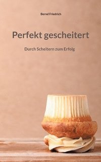 bokomslag Perfekt gescheitert