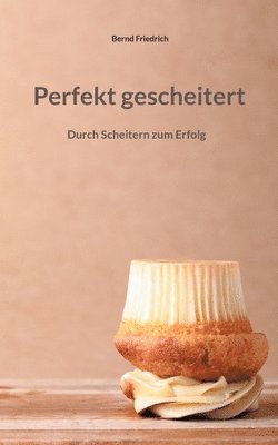 bokomslag Perfekt gescheitert