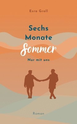 bokomslag Sechs Monate Sommer