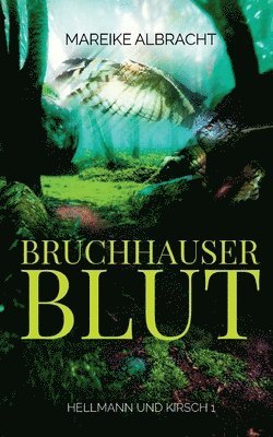 bokomslag Bruchhauser Blut