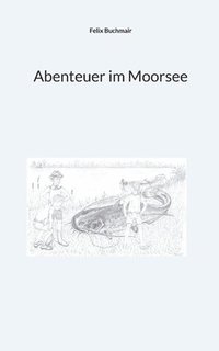 bokomslag Abenteuer im Moorsee