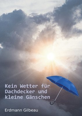 bokomslag Kein Wetter für Dachdecker und kleine Gänschen