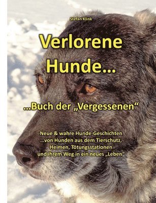 bokomslag Verlorene Hunde