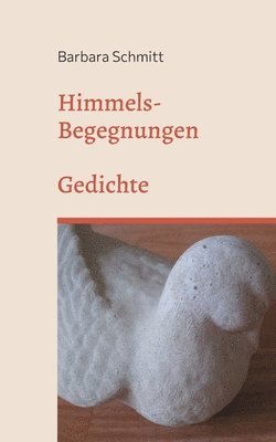 bokomslag Himmels-Begegnungen